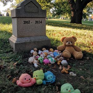 Every Day after 21-Year-Old Son’s Death, Grieving Mom Finds Baby Toys on His Grave