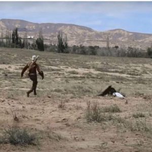 Shocking Footage Shows Massive Golden Eagle Trying To Fly Off With 8-Year-Old Girl