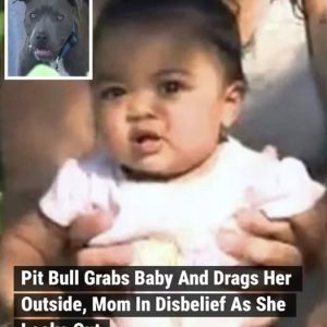 This mother woke up to her dog going nuts in the backyard, so she walked through the kitchen and let the dog in the house. Right away, the dog ran back to the baby’s room and began dragging the little girl towards the front door. The mom was horrified and went to go grab the girl before the dog hurt her — and that’s when she saw what was outside.