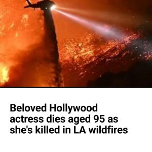 Beloved Hollywood actress dies aged 95 as she’s killed in LA wildfires