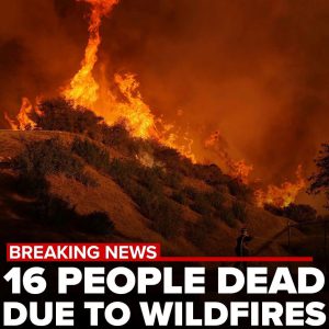 ‘Not out of the woods’: Fire-scarred LA braces for another round of dangerous winds