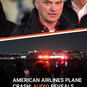 American Airlines Plane Crash: Audio Reveals What Happened Before, During, and After